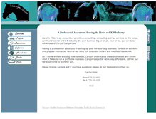 Tablet Screenshot of equinecpa.net